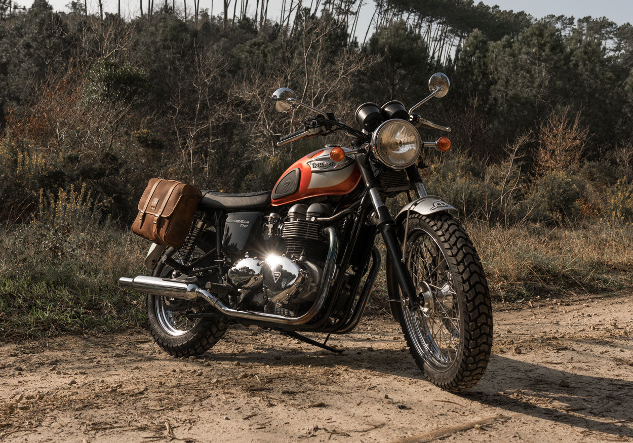 Cool saddlebag for T100 bonneville.