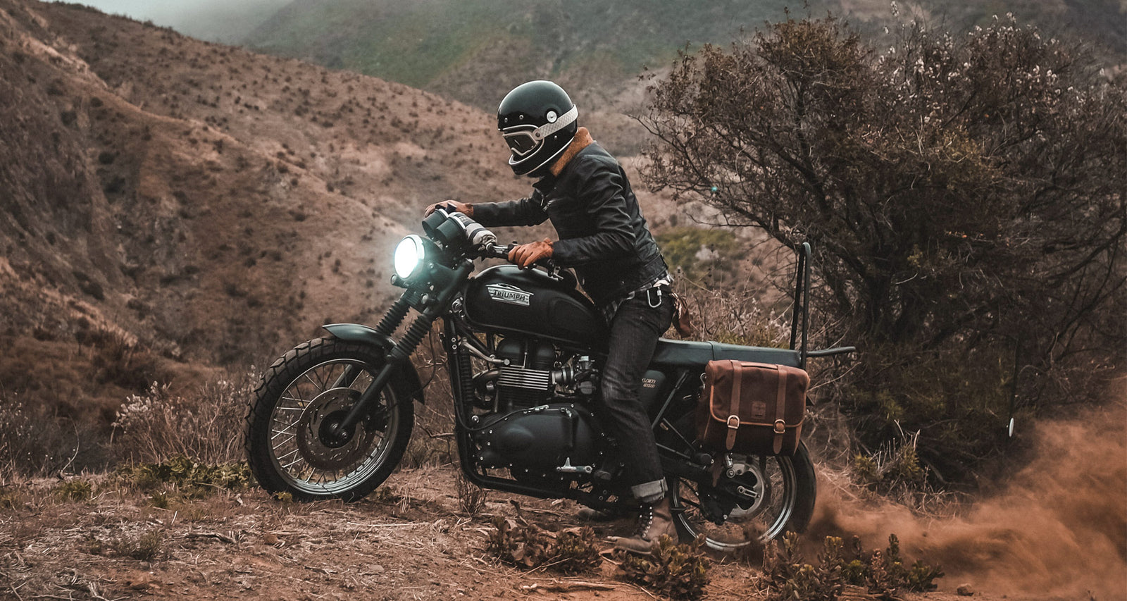 [FLEX] - CUSTOM LOXX SADDLEBAGS